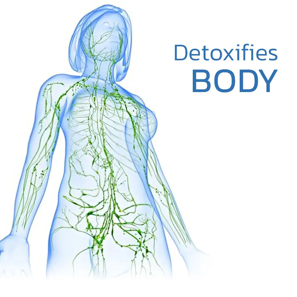 Neck Acupoints Lymphvity Massager Device - Image 4