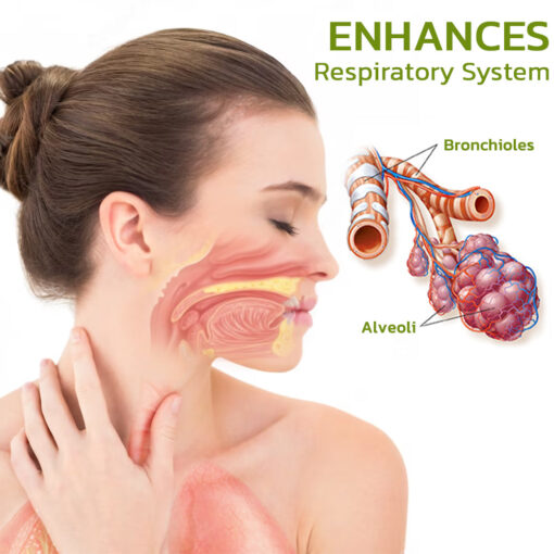 BreathDetox Herbal Lung Cleansing Spray - Image 4