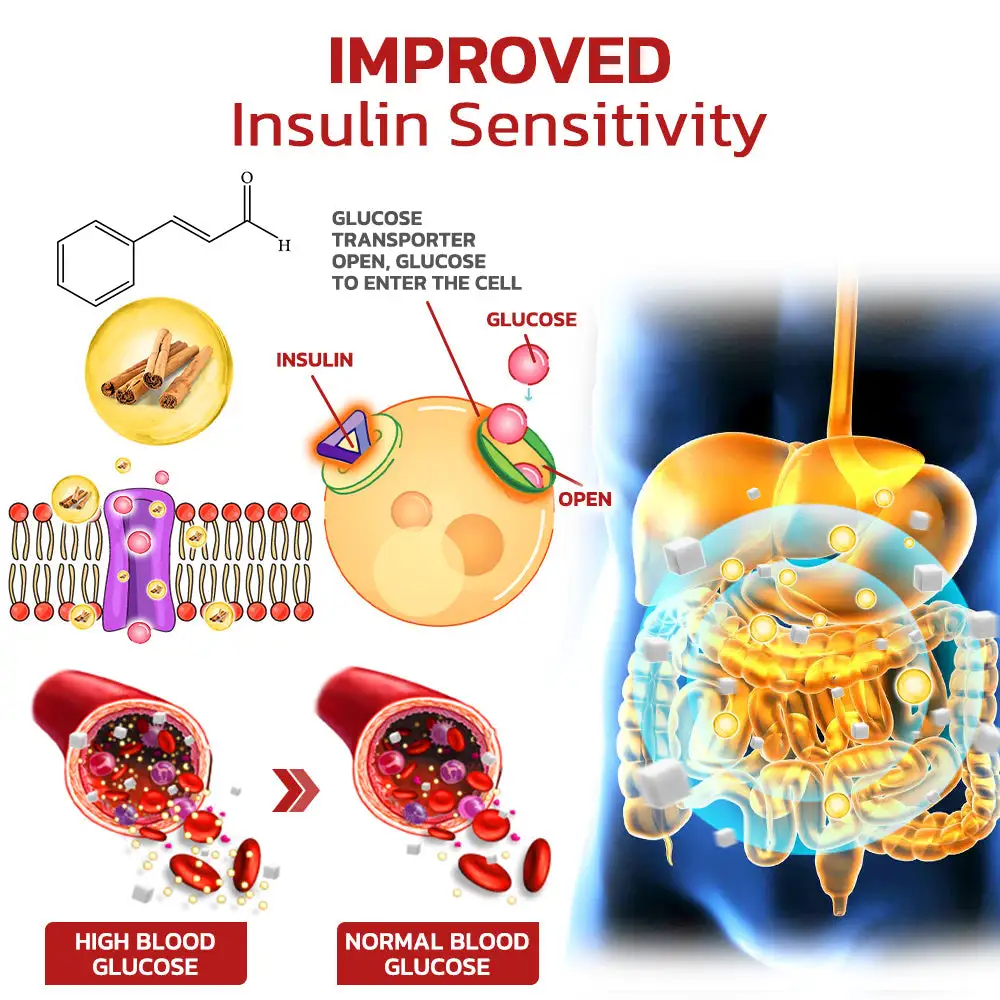 Syncglyco Health Control Aerosolizer - Image 4