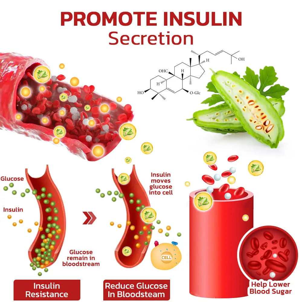 Syncglyco Health Control Aerosolizer - Image 5