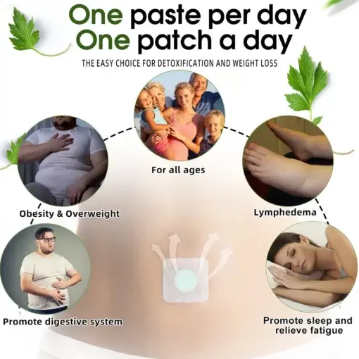 Bee Venom Lymphatic Drainage Slimming Patch - Image 9