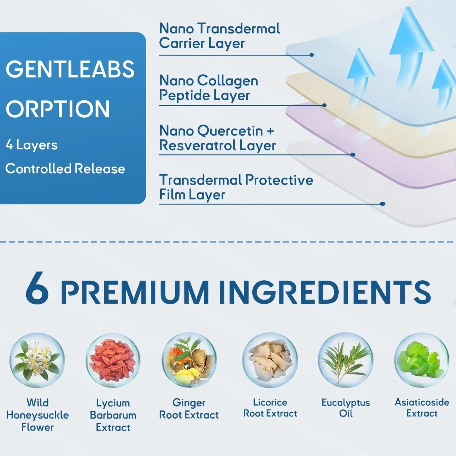 Relief Patch | For Lungs & Breathing - Image 5