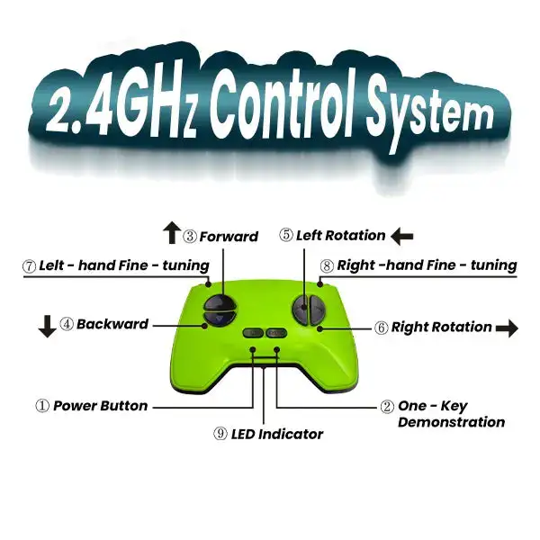 Wall Crawler Gecko - Image 9