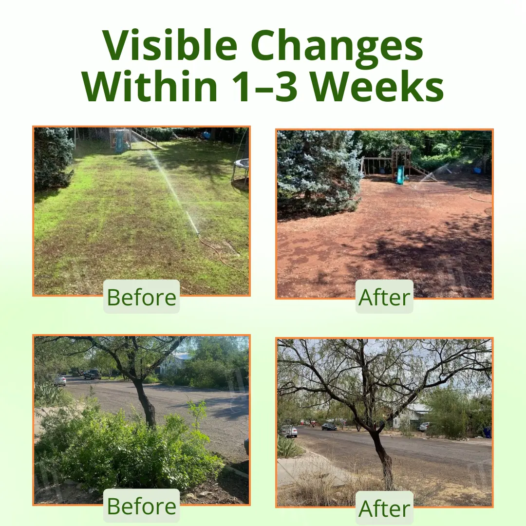 Cyclosinone Herbicide Granules - Image 3