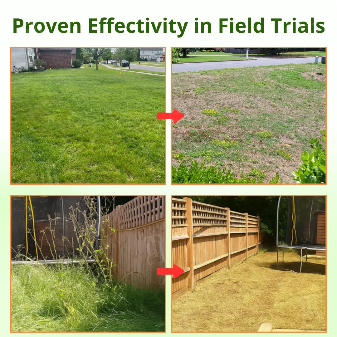 Cyclosinone Herbicide Granules - Image 8