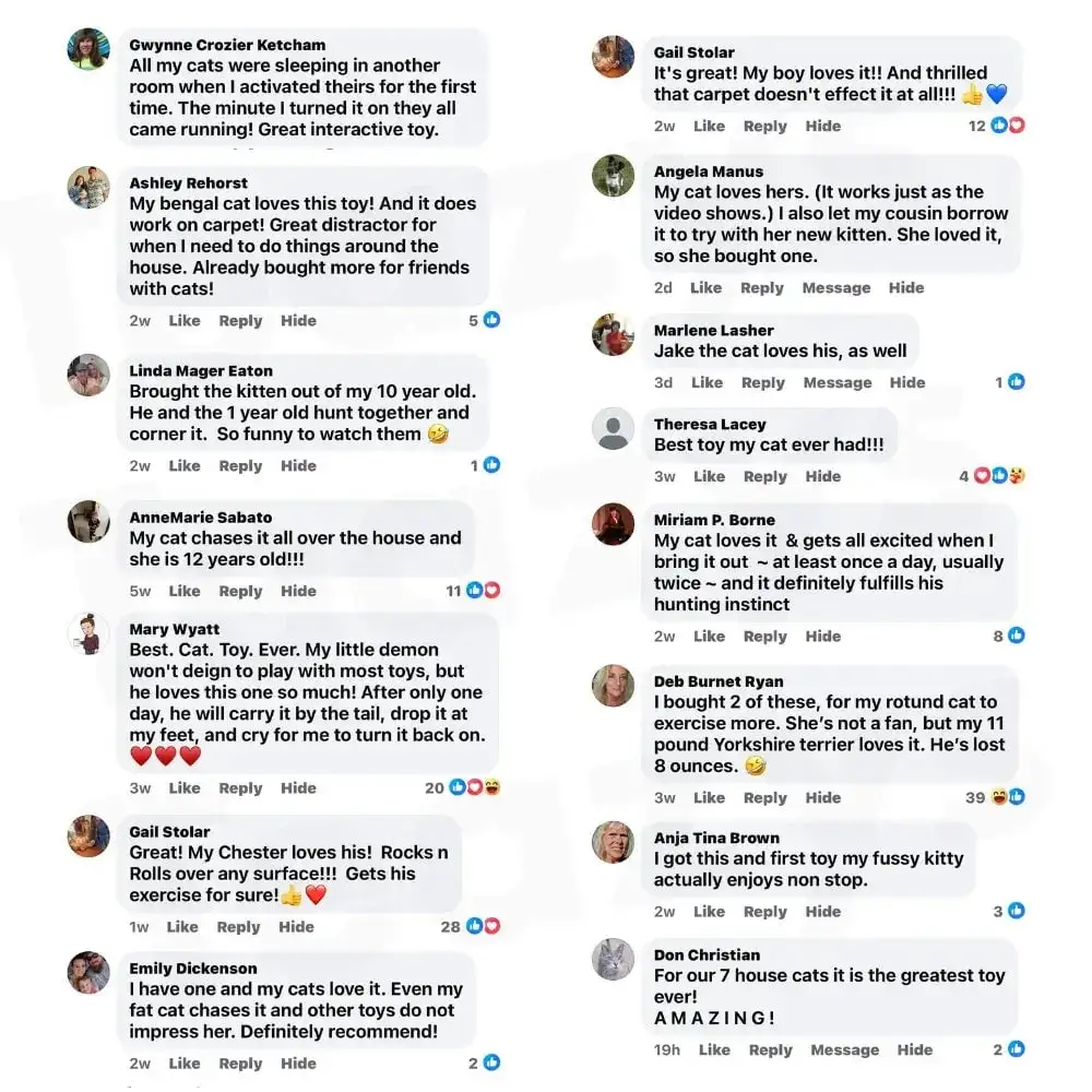 SPEEDY TAIL 2.0 - Image 9