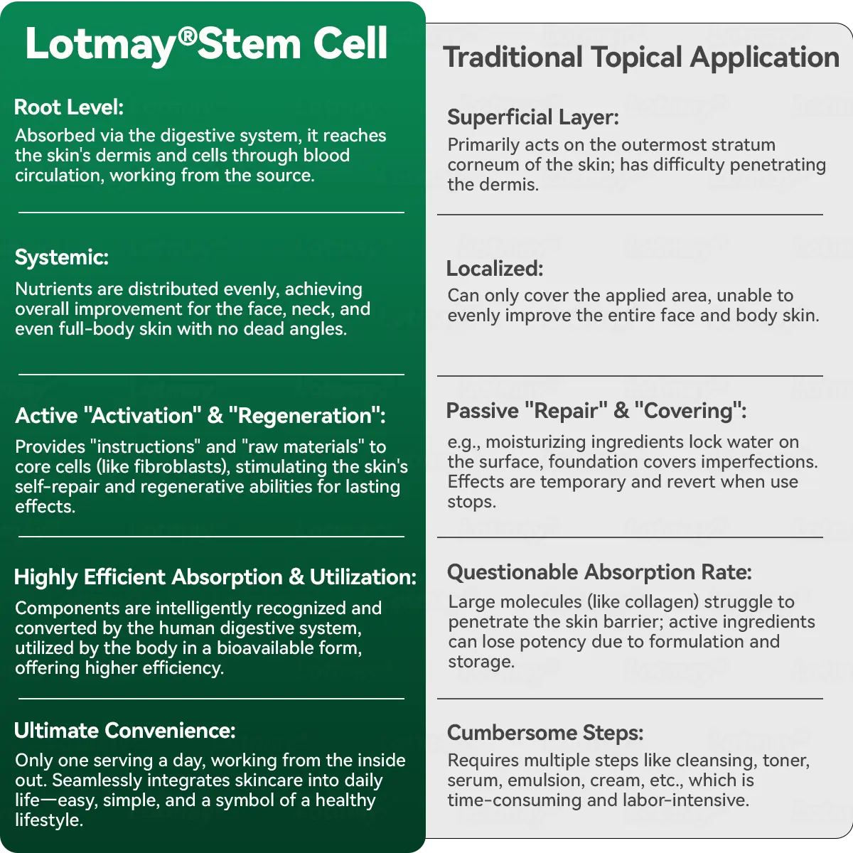 ๐๐ก๐๐ ๐ถ๐๐๐ & ๐ถ๐๐๐๐๐๐๐ ๐๐๐๐ก๐๐๐ ๐๐๐๐ ๐ท๐๐๐๐ - Image 8