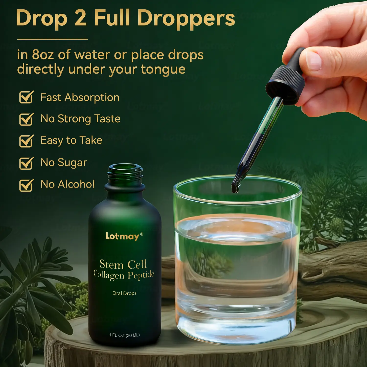 ๐๐ก๐๐ ๐ถ๐๐๐ & ๐ถ๐๐๐๐๐๐๐ ๐๐๐๐ก๐๐๐ ๐๐๐๐ ๐ท๐๐๐๐ - Image 13