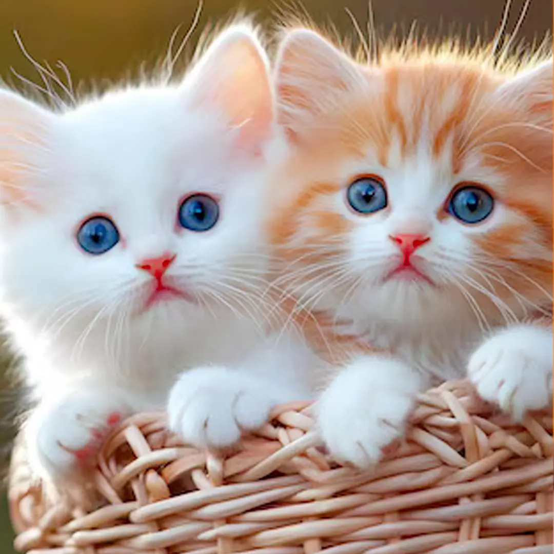 My Realistic Kitten Robot