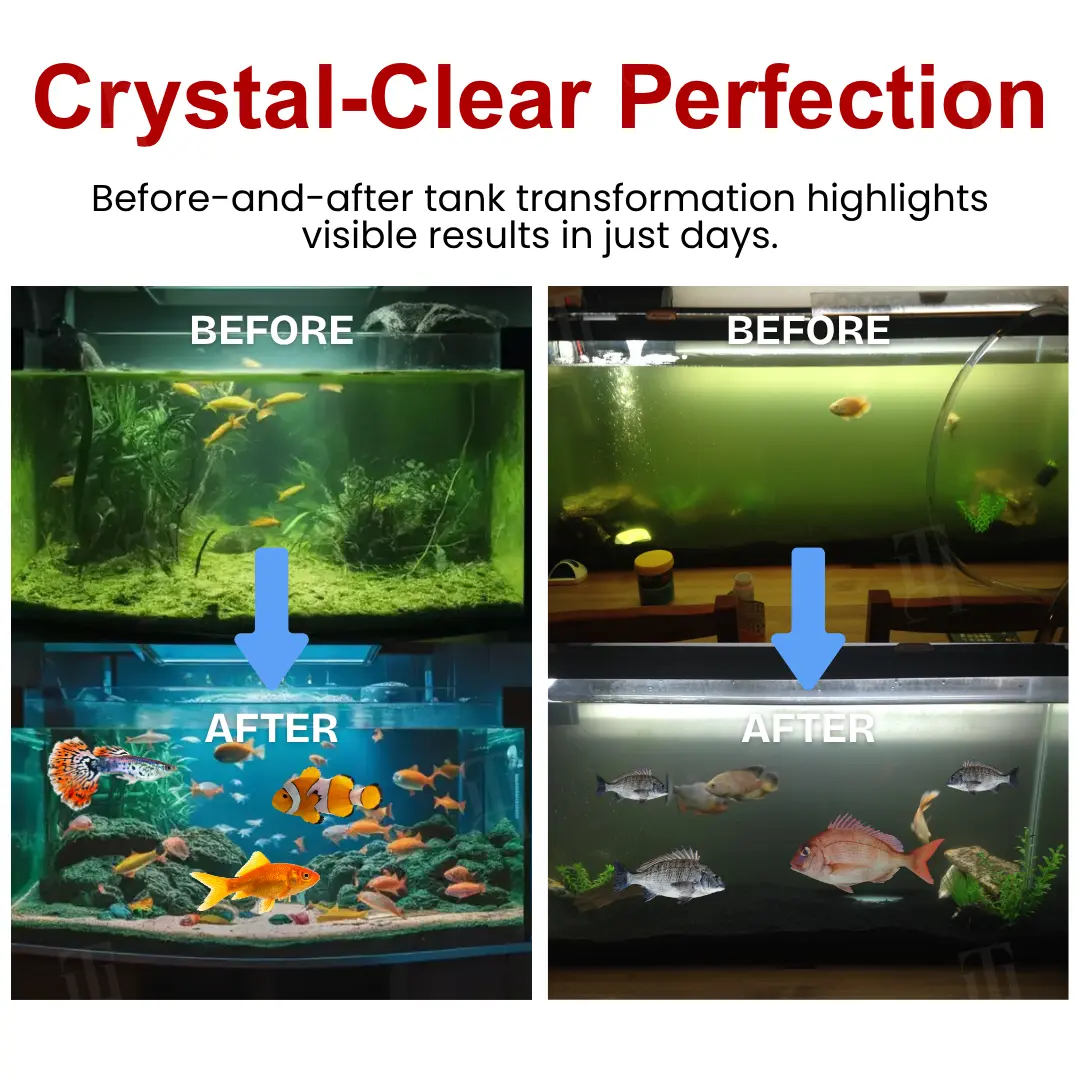 AquaImmune Pro-Safe - Image 2