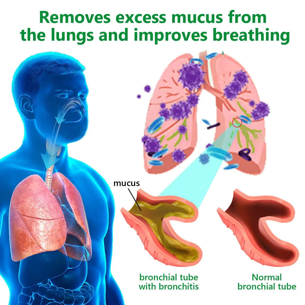 Organic Lung Cleansing Mullein Leaf Extract Drops - Image 10