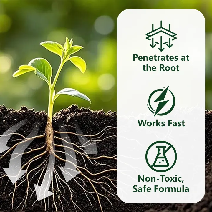 2 in 1 Max Power Herbicide - Image 5