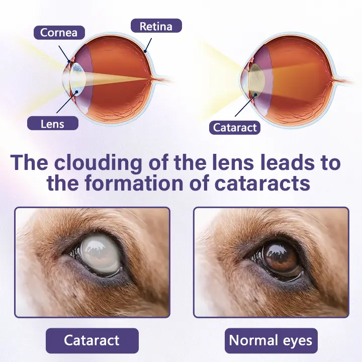 NanoCare Pet Eye Drops - Image 4