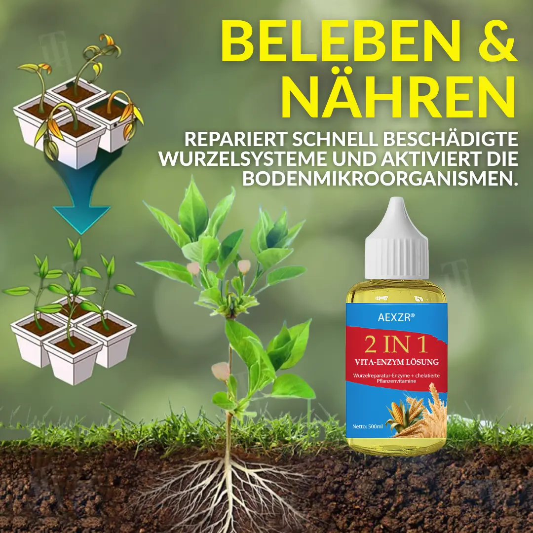 2 in 1 Vita-Enzym Lösung - Image 4