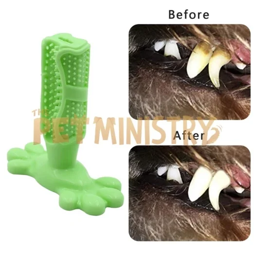 (❤️Clearance Sale: Buy 2 Get Extra 10% OFF) Dog Toothbrush - Image 3