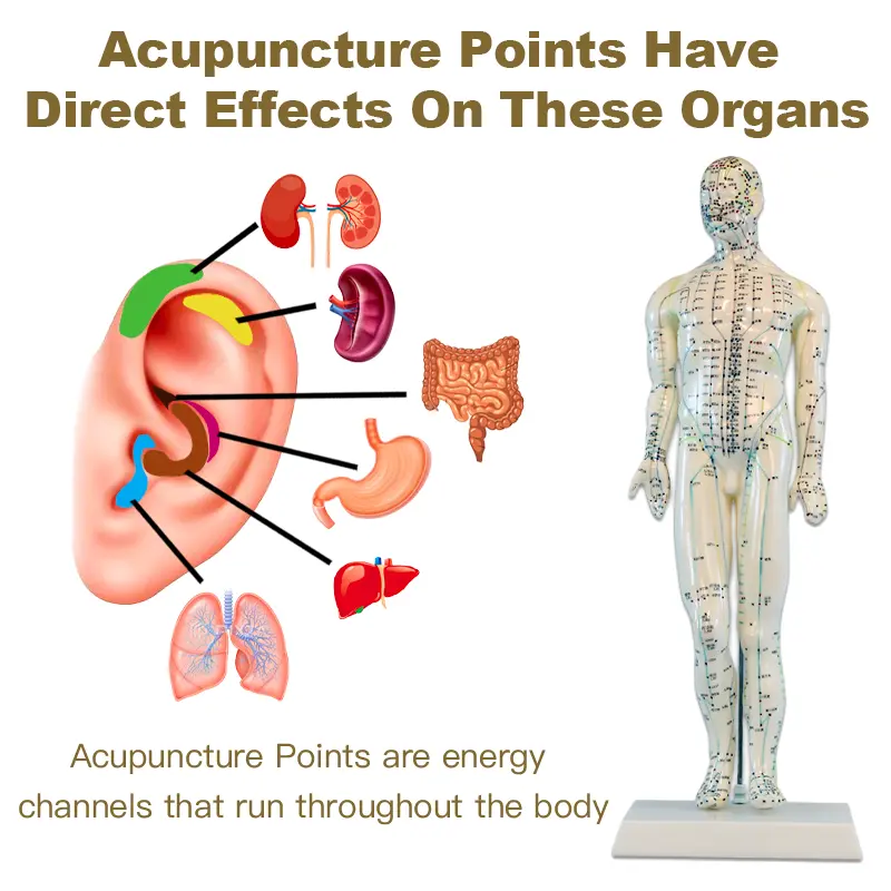 MagnoVita Germanium Detox Earrings - Image 3