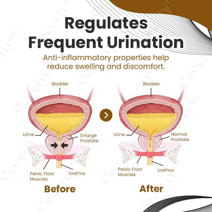ProstaVeno Prostate Care Nasal Spray - Image 4