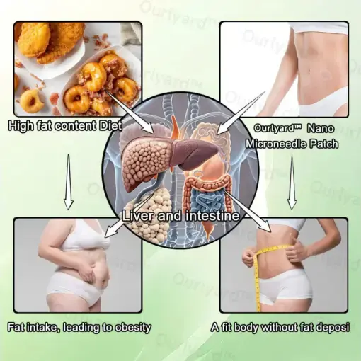 SMGT Nano-Microneedle Bottle - Image 4