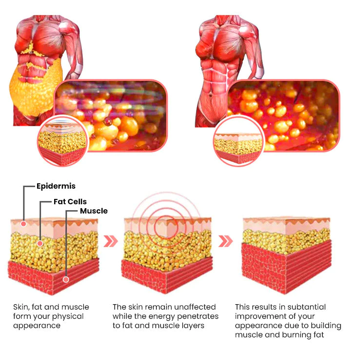 PRO Tummy Control Body Shaper Shorts - Image 3