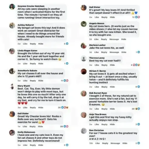 SPEEDY TAIL 2.0 - Image 9