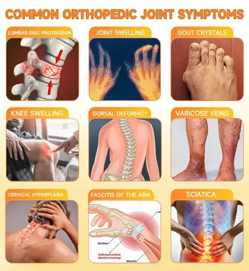 BEE VENOM LITHOSPERMUM Pain-Relief Bone Healing Cream - Image 5