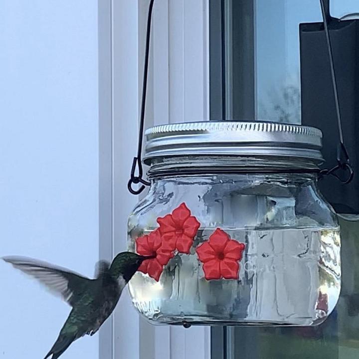 Beautiful Hummingbird Feeder With Three Ports - Image 2