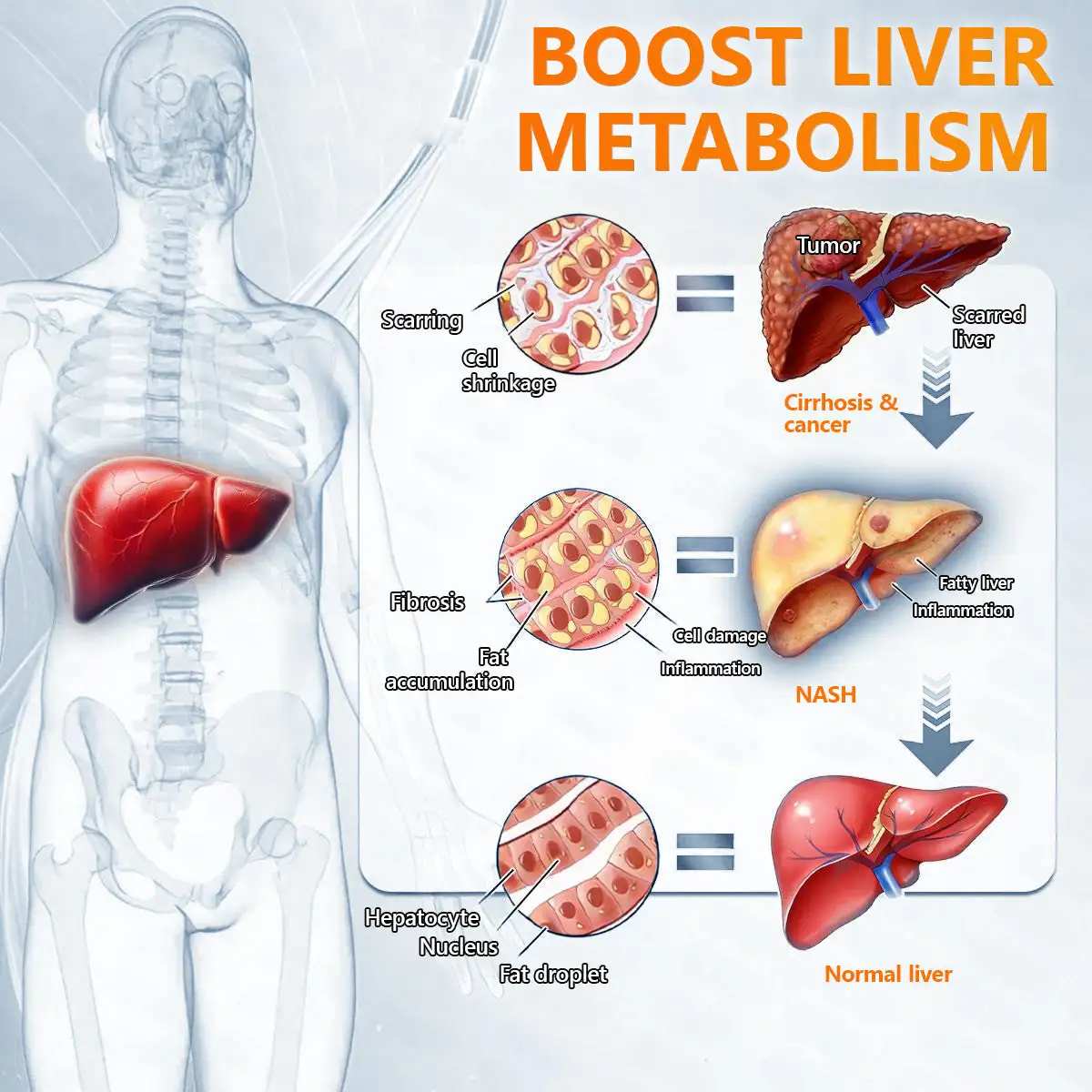 ๐ฉ๐๐๐๐๐ง๐๐๐ & ๐ต๐ผ๐ฟ & ๐๐ซ๐๐ฉ๐ก๐ฒ๐ป๐ฒ 10-๐๐-1 ๐ต๐ช๐ท๐ ๐ด๐๐๐๐๐ท๐๐๐
๐๐ ๐๐๐๐ฌ๐ - Image 19