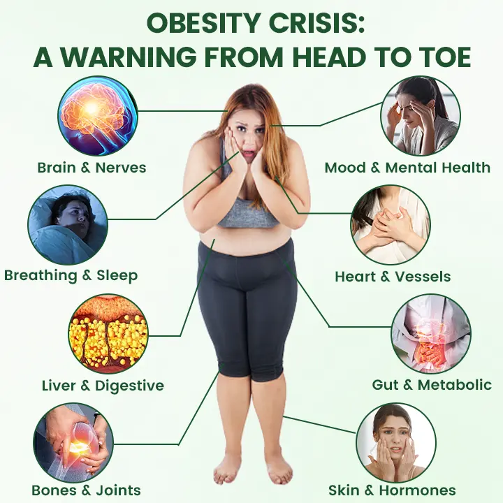 ๐ด๐๐๐๐๐๐ ยท ๐ฉ๐๐๐๐๐๐๐๐ + ๐ต๐จ๐ซ+ 10-๐๐-1 ๐ต๐๐๐ ๐ด๐๐๐๐๐๐๐๐
๐๐ ๐ท๐๐๐๐ - Image 4