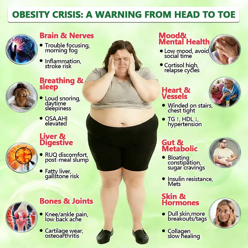 ๐๐ฎ๐ฌ๐ฌ๐ข๐ ๐๐จ๐๐ญ๐จ๐ซ ๐๐๐๐จ๐ฆ๐ฆ๐๐ง๐๐๐ ๐จโโ๏ธ | ๐๐ฒ๐ฟ๐ฏ๐ฒ๐ฟ๐ถ๐ป๐ฒ ๐๐-๐ข๐ง-๐ ๐ก๐ฎ๐ป๐ผ ๐ ๐ถ๐ฐ๐ฟ๐ผ๐ป๐ฒ๐ฒ๐ฑ๐น๐ฒ ๐ฃ๐ฎ๐๐ฐ๐ต - Image 10