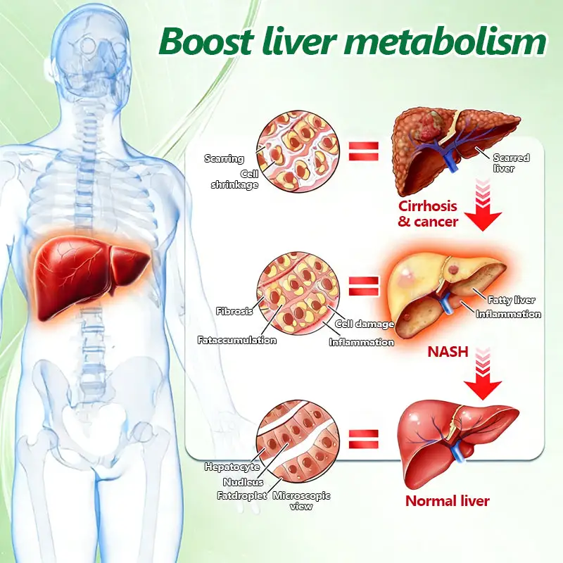 ๐๐ฎ๐ฌ๐ฌ๐ข๐ ๐๐จ๐๐ญ๐จ๐ซ ๐๐๐๐จ๐ฆ๐ฆ๐๐ง๐๐๐ ๐จโโ๏ธ | ๐๐ฒ๐ฟ๐ฏ๐ฒ๐ฟ๐ถ๐ป๐ฒ ๐๐-๐ข๐ง-๐ ๐ก๐ฎ๐ป๐ผ ๐ ๐ถ๐ฐ๐ฟ๐ผ๐ป๐ฒ๐ฒ๐ฑ๐น๐ฒ ๐ฃ๐ฎ๐๐ฐ๐ต - Image 15