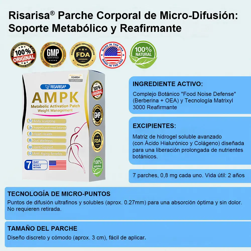 ๐๐๐ซ๐๐ก๐ ๐๐๐ญ๐๐๐จฬ๐ฅ๐ข๐๐จ & ๐๐๐๐๐ข๐ซ๐ฆ๐๐ง๐ญ๐ - Image 18