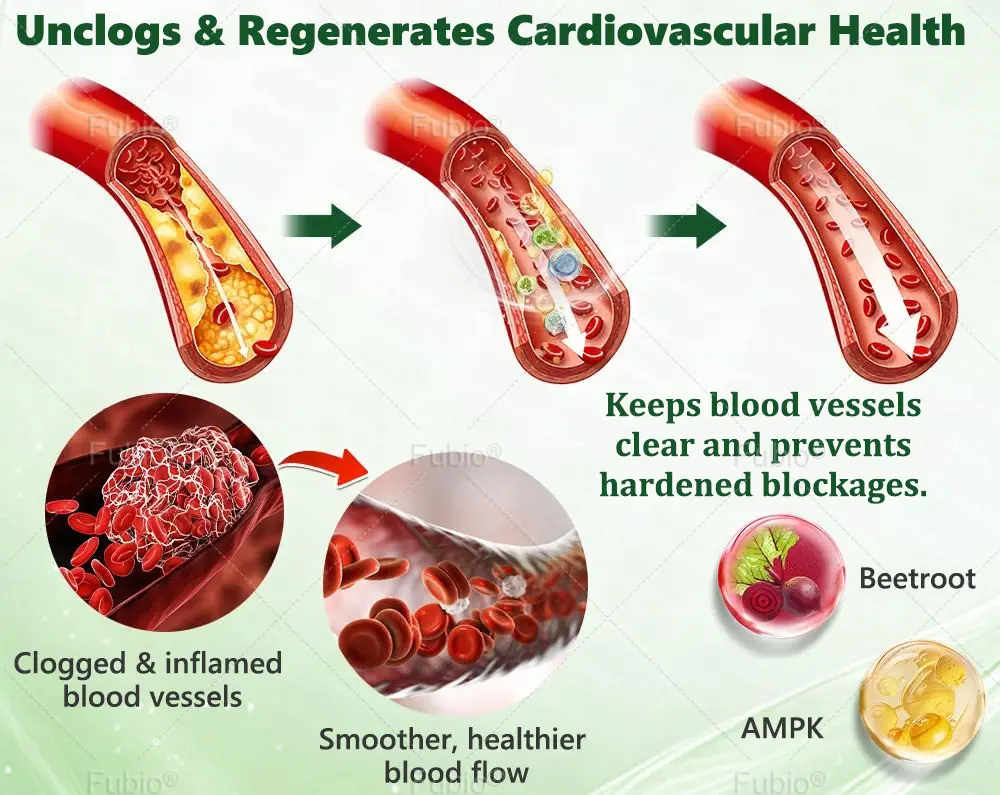 ๐ฎ๐๐ ๐ช๐๐๐๐๐๐ ๐๐๐
๐บ๐๐๐ ๐บ๐๐๐๐๐๐ ๐ท๐๐๐๐๐ - Image 13