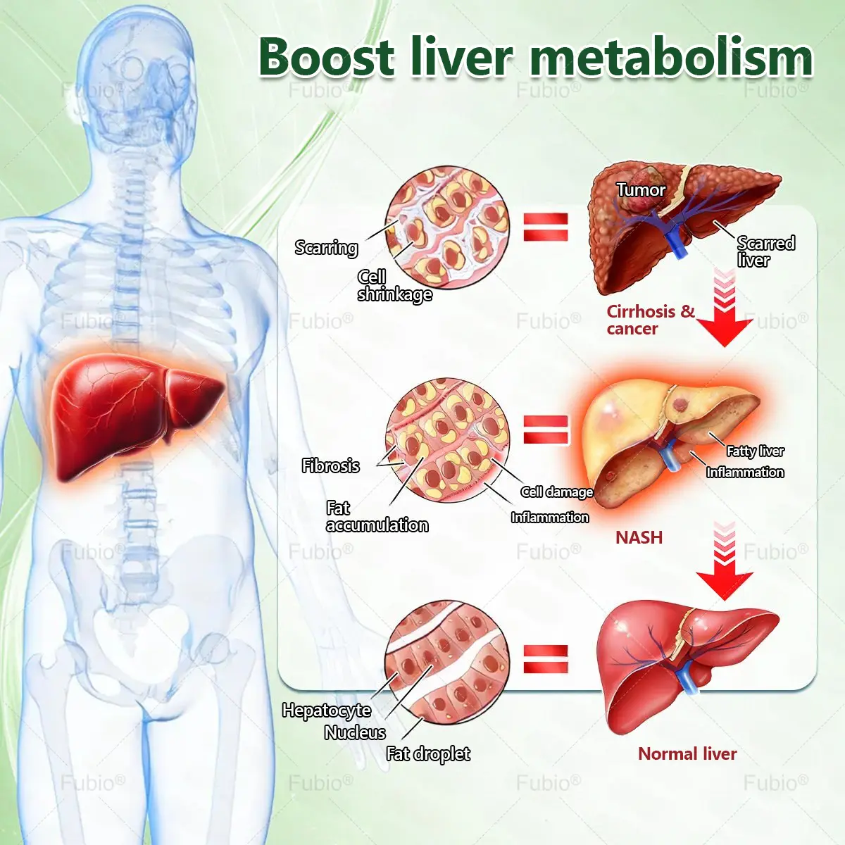 ๐ฎ๐๐ ๐ช๐๐๐๐๐๐ ๐๐๐
๐บ๐๐๐ ๐บ๐๐๐๐๐๐ ๐ท๐๐๐๐๐ - Image 14