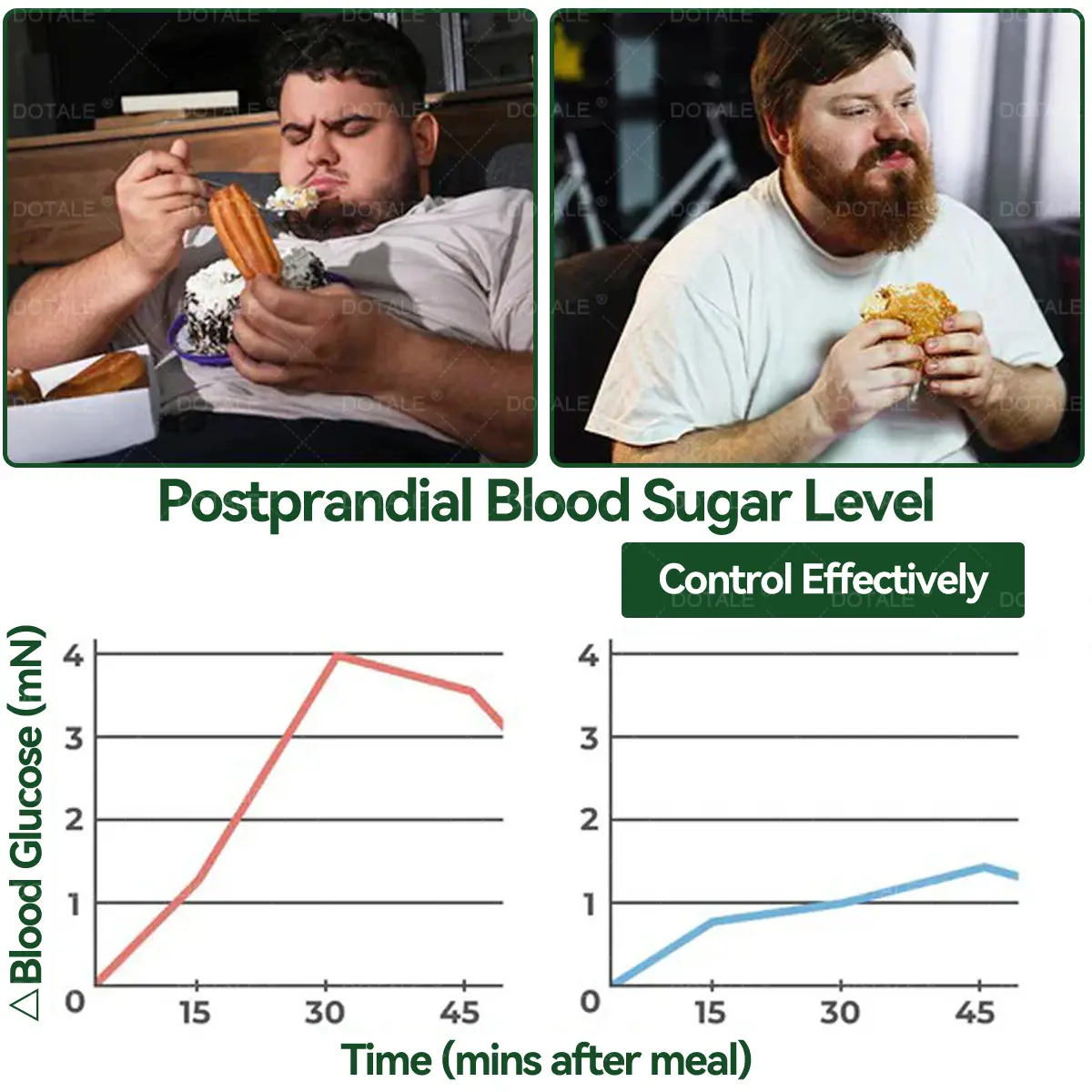 ๐ด๐๐๐๐๐๐๐๐ ๐ต๐๐๐ ๐ด๐๐๐๐๐๐๐๐
๐๐ ๐ท๐๐๐๐ - Image 8