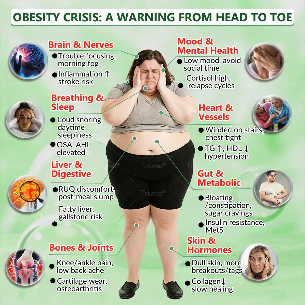 ๐ด๐๐๐๐๐๐ฎ ยท ๐๐ฒ๐ฟ๐ฏ๐ฒ๐ฟ๐๐ฃ๐ ร ๐๐ผ๐+ ๐๐-๐ข๐ง-๐ ๐๐ฑ๐๐ฎ๐ป๐ฐ๐๐ ๐๐๐ฃ๐ค ๐๐๐๐ง๐ค๐ฃ๐๐๐๐ฅ๐ ๐๐๐ญ๐๐ - Image 4