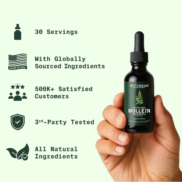 Mullein + Chlorophyll - Image 4