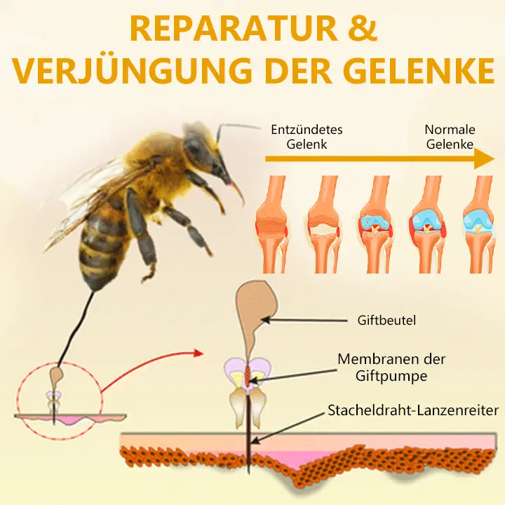 BeeRevive Gelenk- und Knochenheilungscreme - Image 4