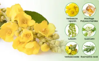 ๐๐จ๐ญ๐๐ง๐ข๐๐๐ฅ ๐๐ฎ๐ฅ๐ฅ๐๐ข๐ง ๐๐ฎ๐ง๐ ๐๐ฅ๐๐๐ง๐ฌ๐ ๐๐ข๐๐๐ฎ๐ฌ๐๐ซ - Image 7