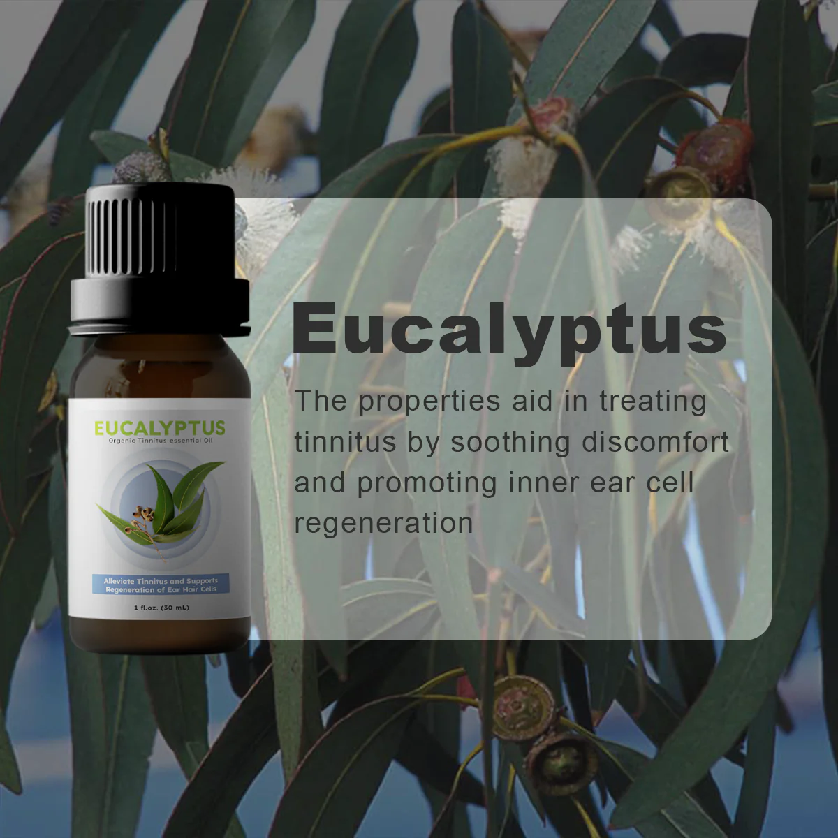 Prowave Professional Tinnitus Treatment Set - Image 7