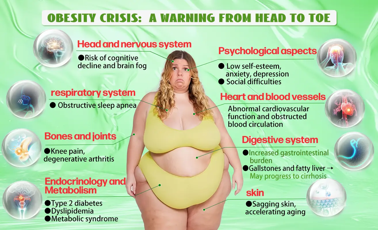 Pro ALL-IN-ONE Fit & Vital ๐๐ซ๐๐ฅ ๐๐ข๐ช๐ฎ๐ข๐ - Image 3