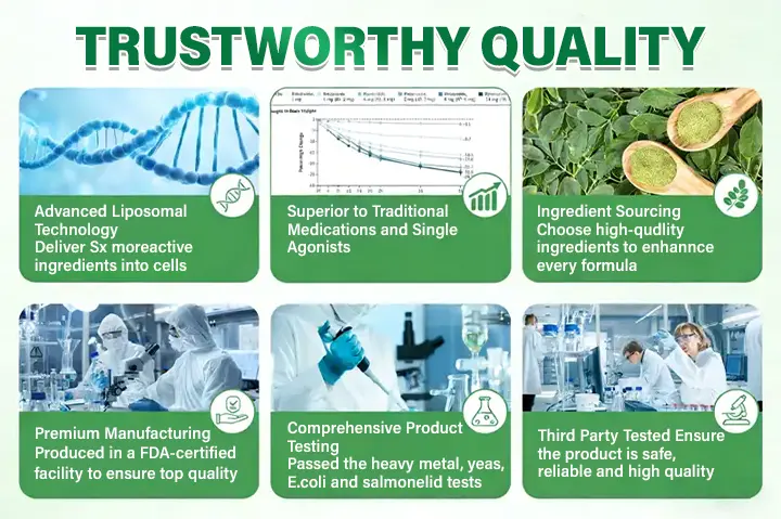 Moringa · Berberine × NAD+ 10-in-1 Advanced Metabolic Nano Microneedle Patch - Image 6