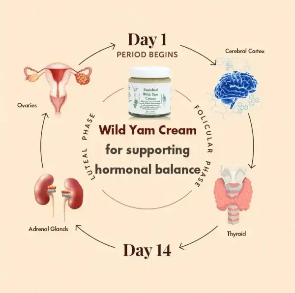 Organic Wild Yam Cream - Image 4