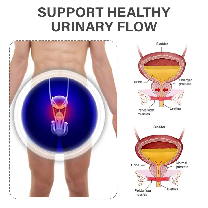 TitaniumMag Prostate Wellness Bracelet - Image 5