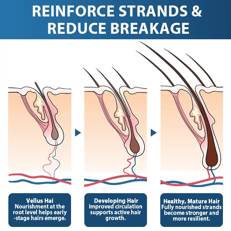 STEM Cell Hair Cycle Roller - Image 4