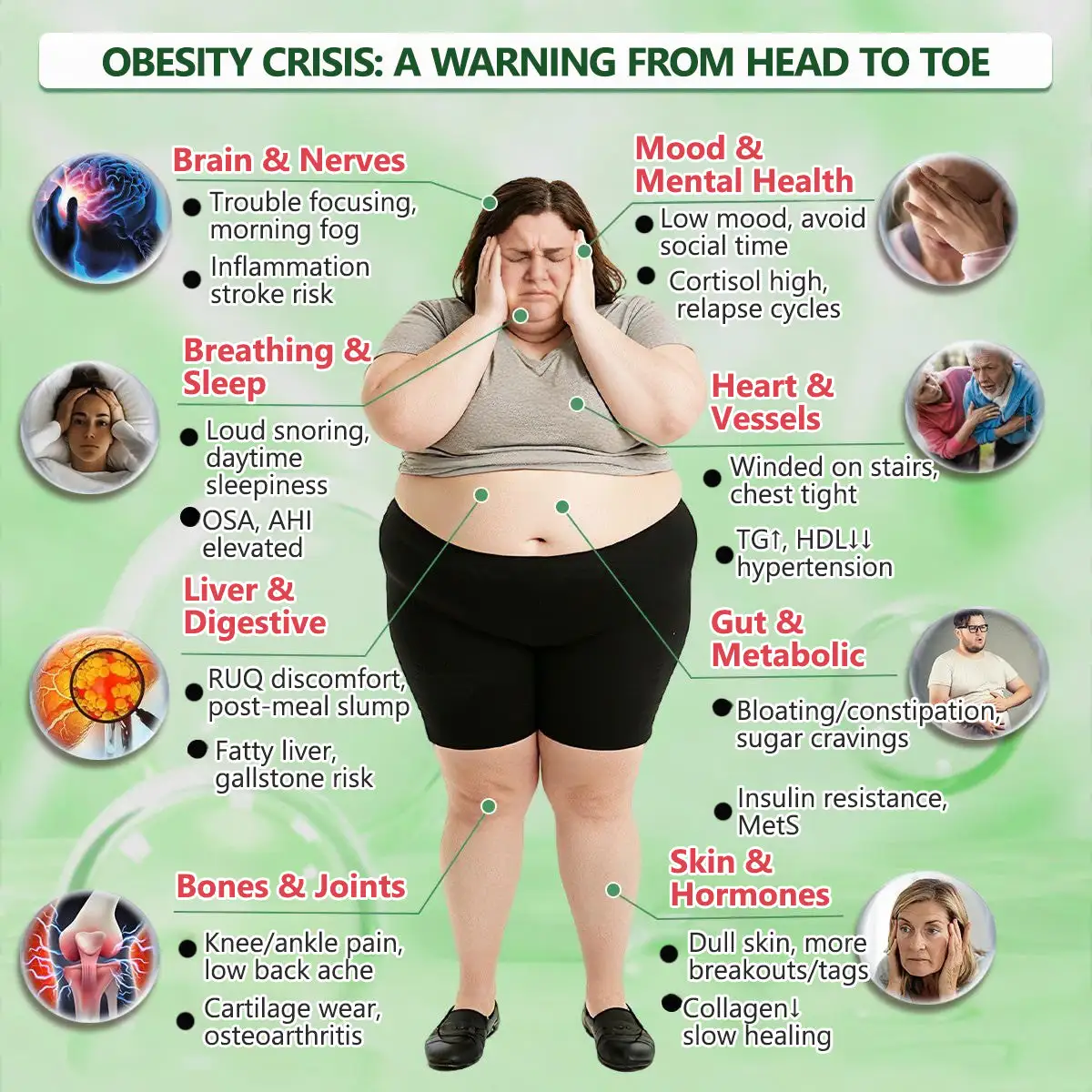 ๐ด๐๐๐๐๐๐ฎ ยท ๐๐ฒ๐ฟ๐ฏ๐ฒ๐ฟ๐๐ฃ๐ ร ๐๐ผ๐+ ๐๐-๐ข๐ง-๐ ๐๐ฑ๐๐ฎ๐ป๐ฐ๐๐ ๐๐๐ฃ๐ค ๐๐๐๐ง๐ค๐ฃ๐๐๐๐ฅ๐ ๐๐๐ญ๐๐ - Image 11