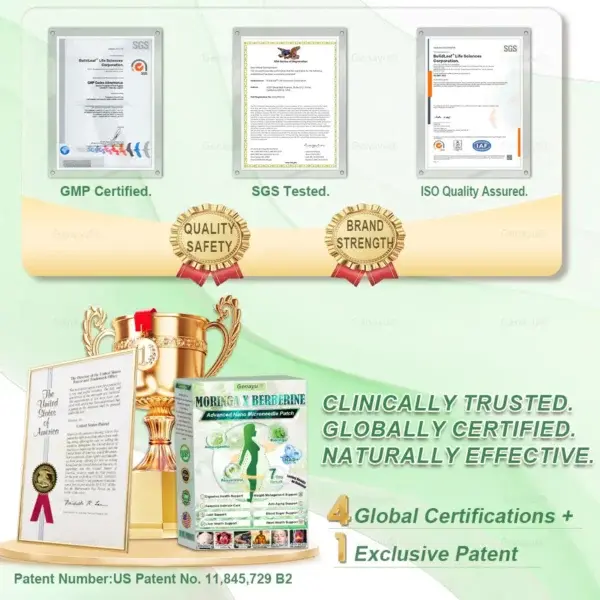 ️ MORINGA+BERBERINE Advenaced Nano Microneedle Patch - Image 12