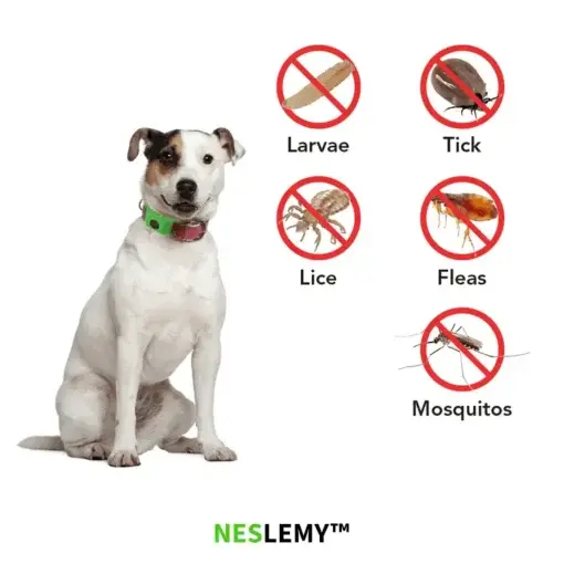 12Month Natural Flea Tick Protection Pendant - Image 3
