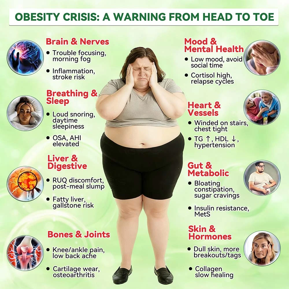 20-IN-1 Advanced Nano Microneedle Patch Moringa × Berberine × NMN/NAD+ Multi-Action Formula - Image 6