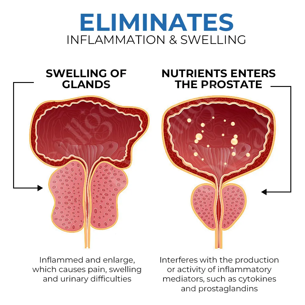 BeeStrong Prostate Care Nasal Therapy Inhaler - Image 5