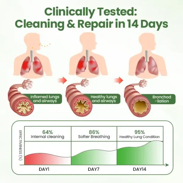 Verbascosaponin Lung Detox Diffuser - Image 4